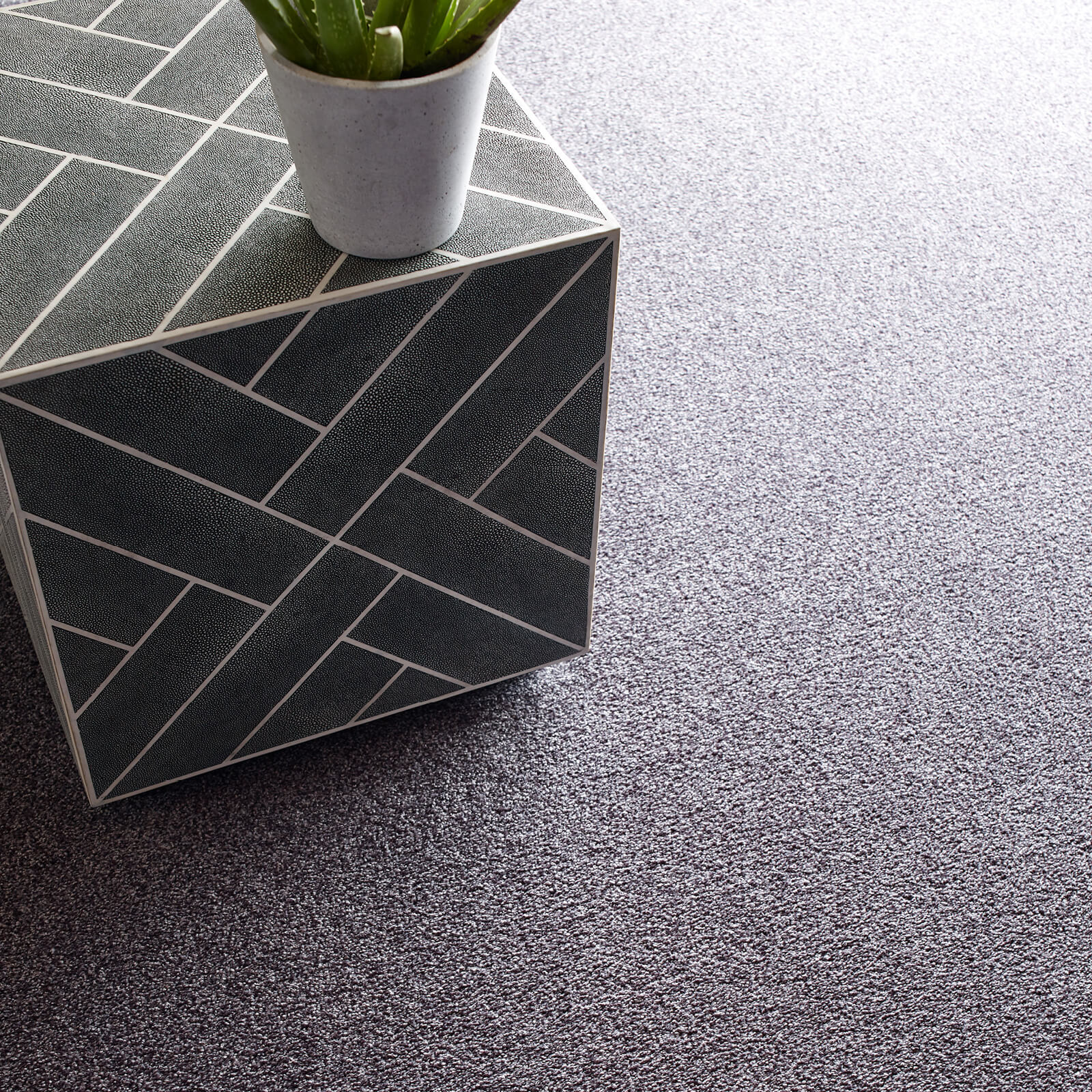 Grey Carpet flooring | Floor Dimensions Design Centre