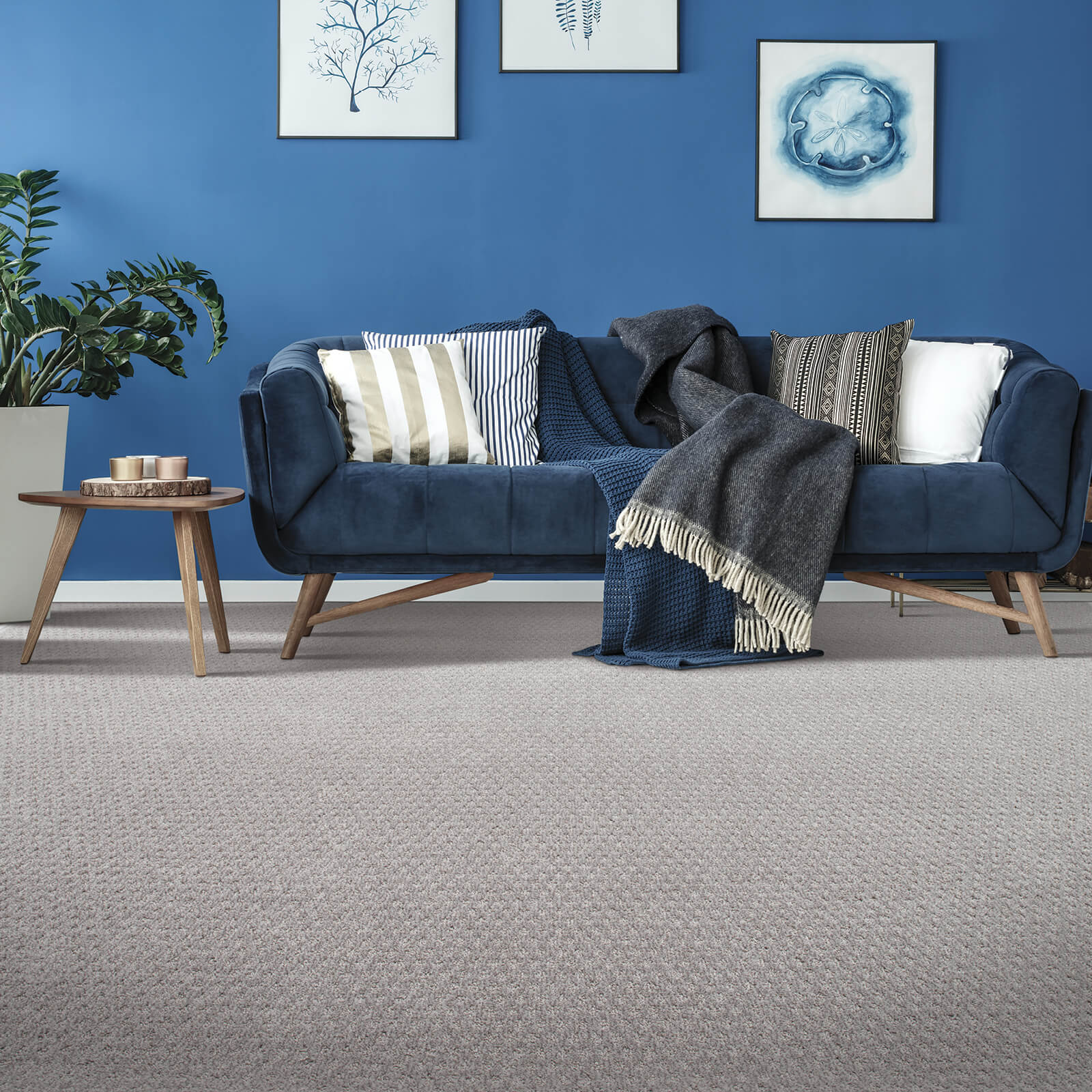 Blue sofa on Carpet | Floor Dimensions Design Centre
