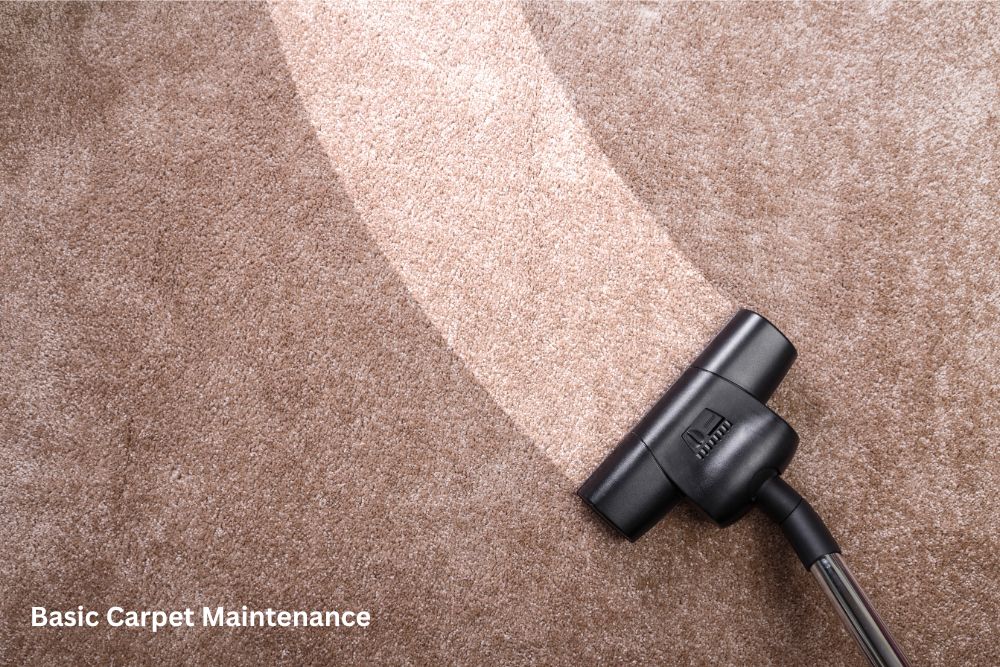 Carpet floor cleaning | Floor Dimensions