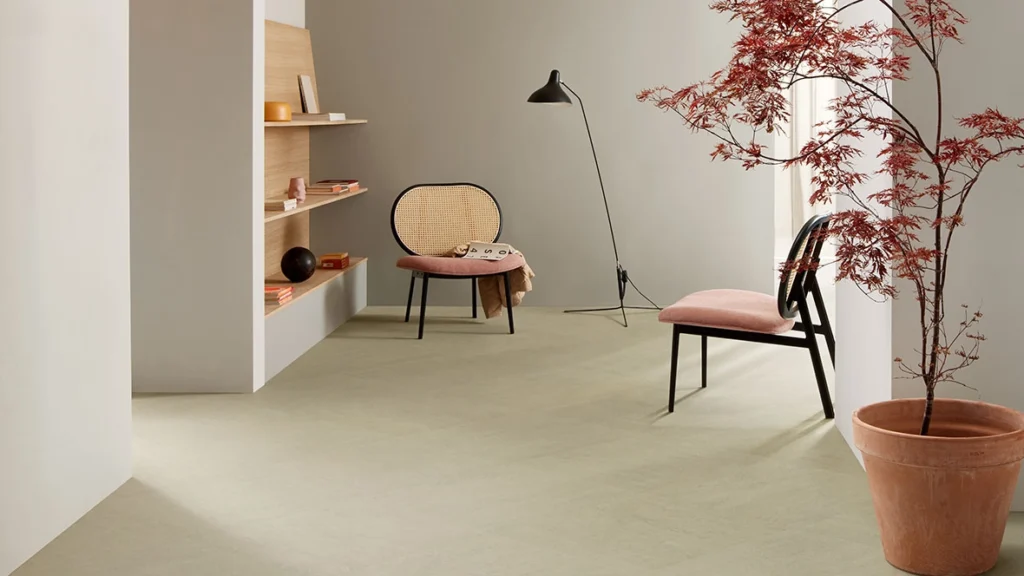 Minimalist room showcasing light sage linoleum flooring, pink cane chairs, and a potted red Japanese maple.