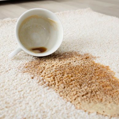 Stain cleaning tips | Floor Dimensions